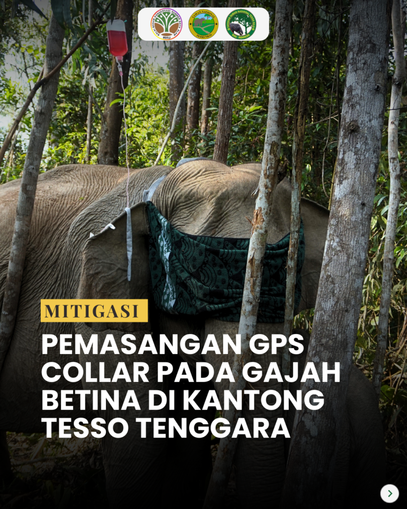 1211 gps collar ytntn page 1