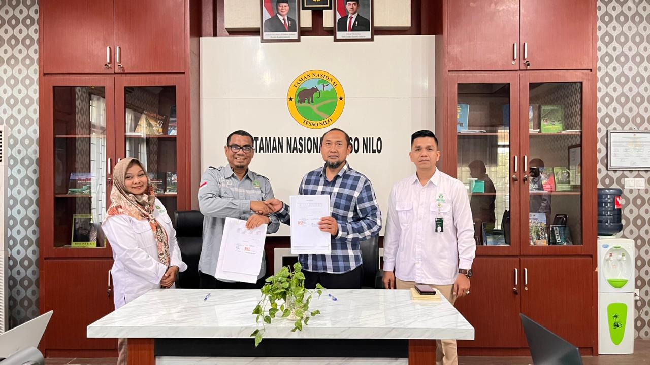 Mitigasi konflik dan pengkayaan pakan di habitat gajah jadi fokus kerja YTNTN satu tahun ke depan Mitigasi konflik dan pengkayaan pakan di habitat gajah jadi fokus kerja YTNTN satu tahun ke depan